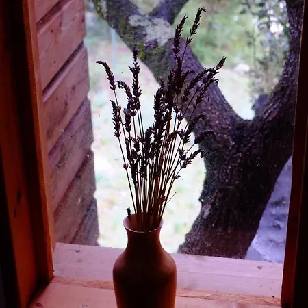 Bed & Breakfast A Casaluna